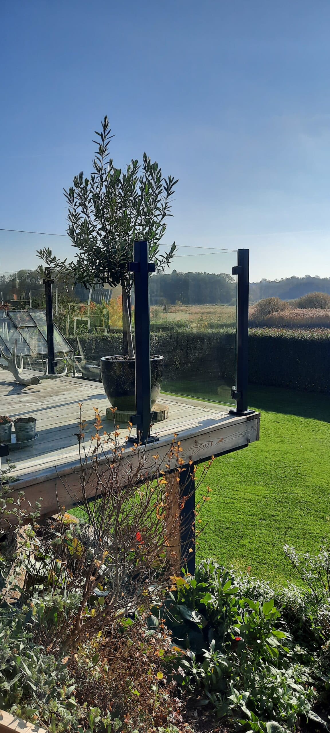 Schwarzes Aluminiumgeländer mit Klarglas, montiert auf Holzdeck mit Ausblick auf Garten, Natur und große Topfpflanze.